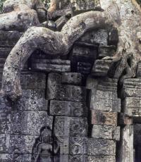 Excursion to the Angkor Wat temple complex: feel like the king of Cambodia!