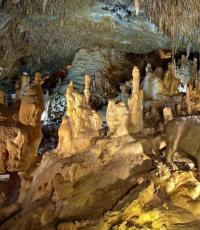 Petralona Cave Sithonia Caves